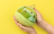 Product Listing: SMISKI Cushion Pouch C3